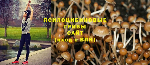 jwh Белокуриха