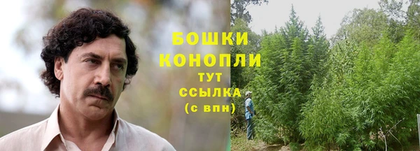 стафф Белоозёрский
